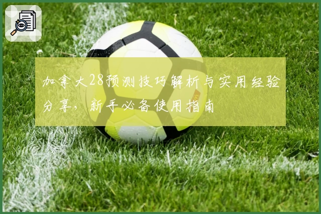 加拿大28预测技巧解析与实用经验分享，新手必备使用指南