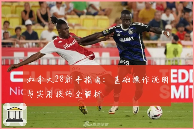 加拿大28新手指南：基础操作说明与实用技巧全解析