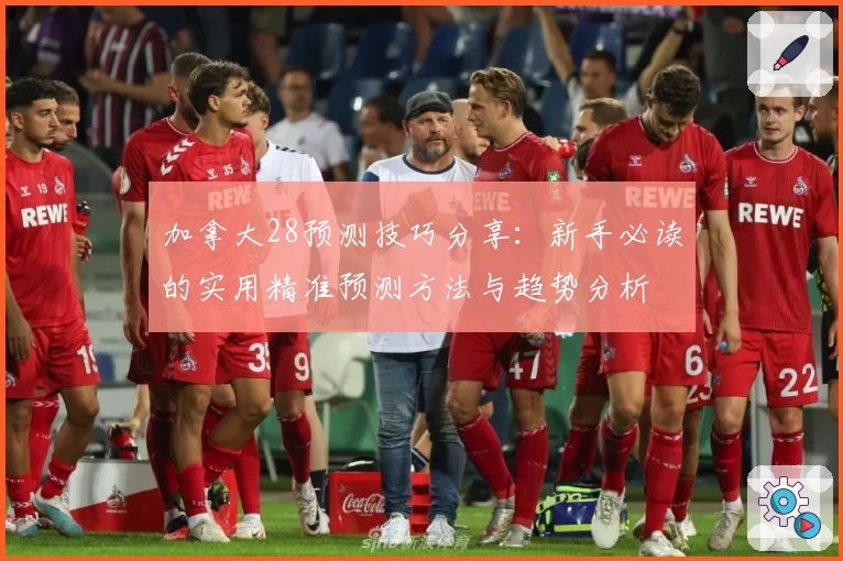 加拿大28预测技巧分享：新手必读的实用精准预测方法与趋势分析