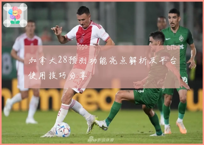 加拿大28预测功能亮点解析及平台使用技巧分享