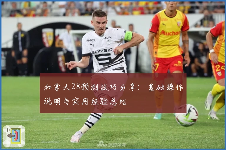 加拿大28预测技巧分享：基础操作说明与实用经验总结