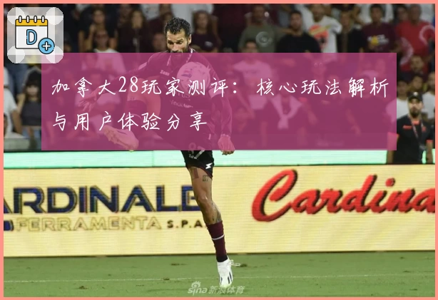 加拿大28玩家测评：核心玩法解析与用户体验分享