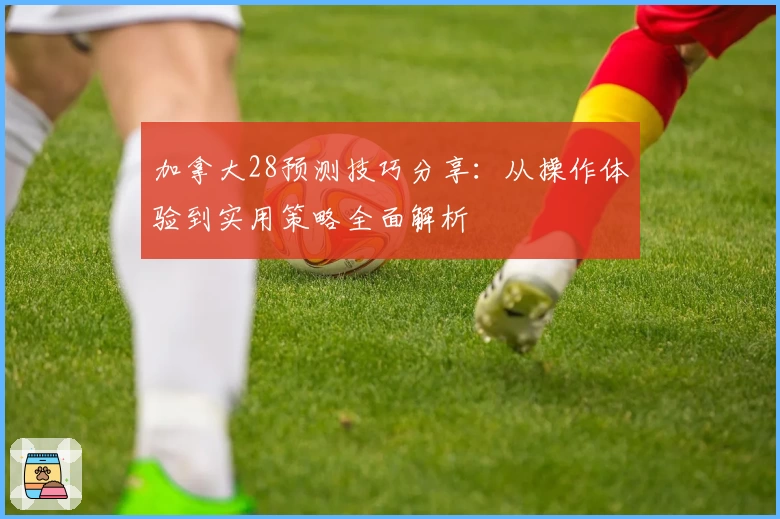 加拿大28预测技巧分享：从操作体验到实用策略全面解析