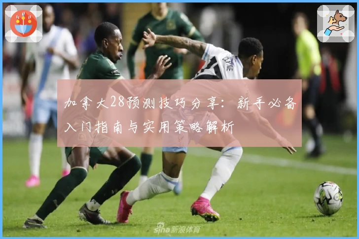 加拿大28预测技巧分享：新手必备入门指南与实用策略解析