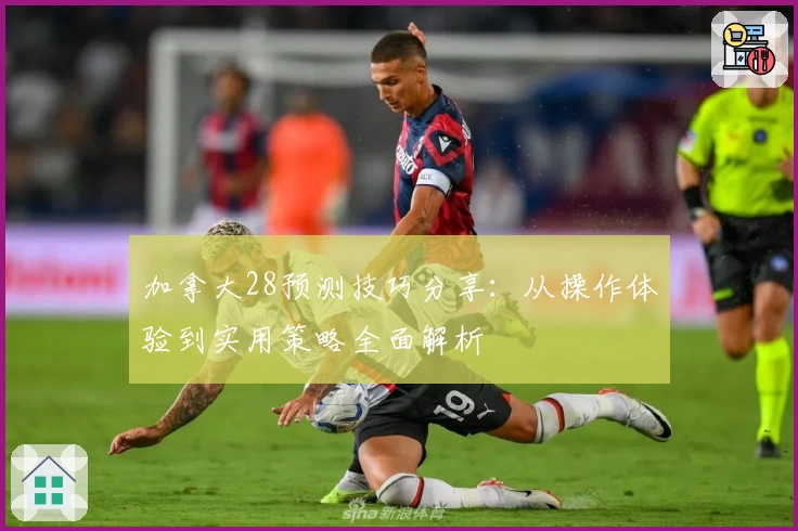 加拿大28预测技巧分享：从操作体验到实用策略全面解析