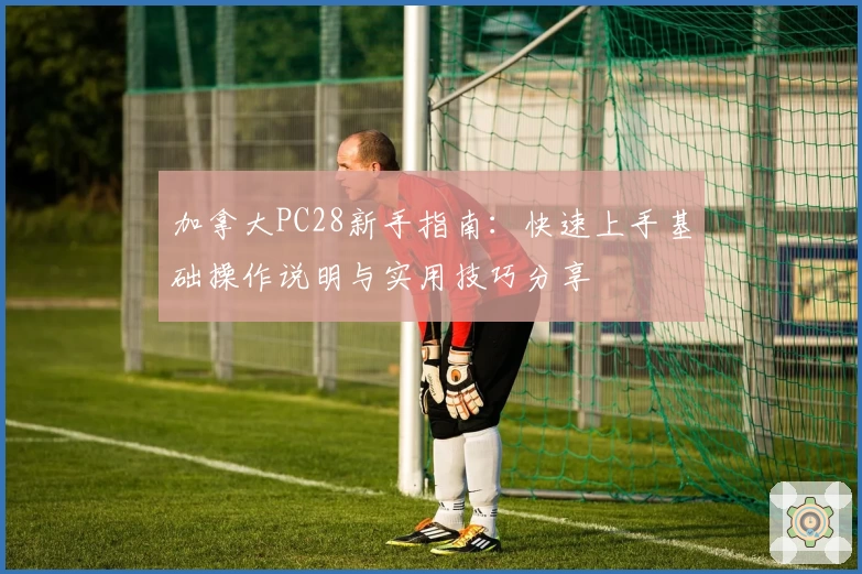 加拿大PC28新手指南：快速上手基础操作说明与实用技巧分享