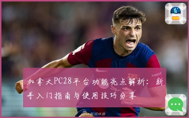 加拿大PC28平台功能亮点解析:新手入门指南与使用技巧分享